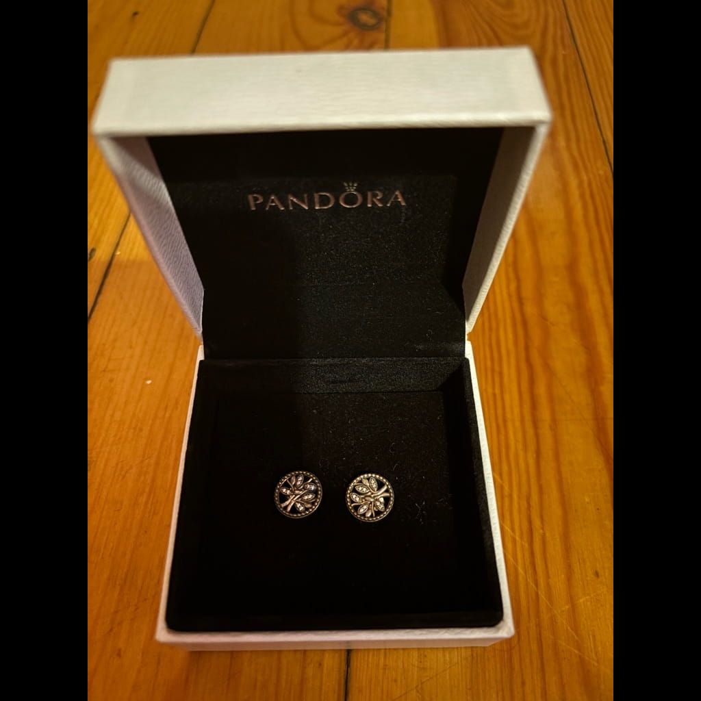 Pandora earings