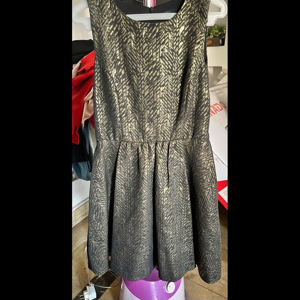 Zara Dress